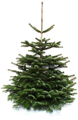 Natur-Weihnachtsbaum Nordmanntanne aus dem Sauerland (100-120cm)