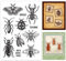 PH PandaHall Stempelsets Insekten Clear Seal Stamps Transparente Silikonsiegel Für DIY Scrapbooking Karten Machen Fotoalbum Dekoration Briefmarkenblätter Sammlung von Proben