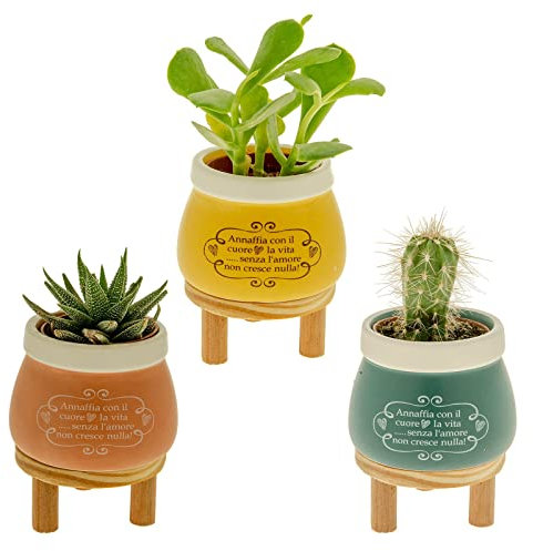 Ingrosso e Risparmio Pflanzkübel aus Porzellan mit Stand aus Holz in 3 verschiedenen Farben – nützliche und günstige Gastgeschenke (groß)