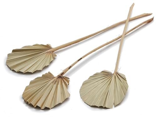 NaDeco Palmenblatt 'Rund', naturbelassen oder Gebleicht, frei wählbar, 10 STK. ca. 30-40cm | Palm Sun | Palmenblatt | Palmenwedel | Palmenzweig | Beachbar-Deko, Farbe:Natur