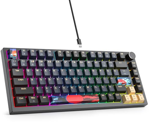 SbocKeeb V400 Custom Gaming Keyboard 75 percent Hot-Swappable, 75% Wired Mechanical RGB Keyboard with Gasket and Sound Absorbing Pads Programmable American QWERTY for Mac/Win V400 Blue Samurai