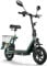 TWOFISH E Scooter mit Straßenzulassung(EEC), Elektroroller für Erwachsene mit 48V 13Ah Akku, 30 km Reichweite, Elektro Scooter mit 12 Zoll Reifen, 3 Geschwindigkeiten, M5-PRO-E (Grün)