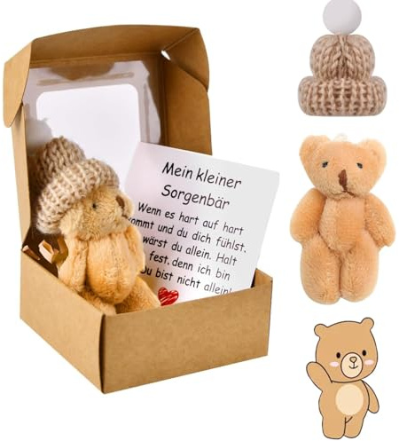 Ruichi Teddybär Pocket Hug Positive Bär Mini Stofftiere Kleiner Teddy Mit Karte & Geschenkbox Mini-Plüschbär Figuren Lustige Sorgenbär-Umarmung Geschenk für Freundin Frauen Kinder