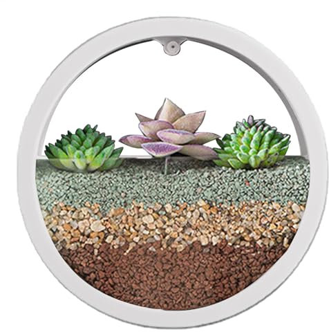 Maceta de pared redonda, florero de maceteros de pared,Maceta con jarrón de pared transparente | Florero de pared, macetero suculento circular, maceta redonda para flores, contenedor Vertical para int