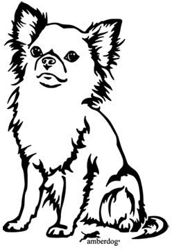 amberdog Chihuahua Langhaar Art.Nr.AT0131 Aufkleber für Auto Wohnmobil Wohnwagen Autoaufkleber (20x15cm, schwarz)