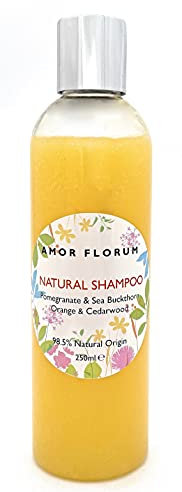 98,5% Natürliches SHAMPOO - Mit Aloe, Granatapfel, Sanddorn, Süß-Orange & Zedernholz. Sulfat- & Parabenfrei, Konzentriert, Sanft, pH 5.5 ausgewogen