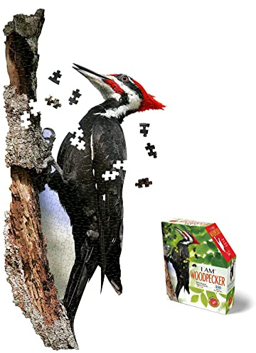 e11even Madd CAPP Puzzles