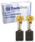2x Trade-Shop Motorkohlen 6,5x13,5x16/18mm kompatibel mit Meistercraft MTS 1500 Kreissäge, kompatibel mit Parkside TKS 1700 Tischkreissäge