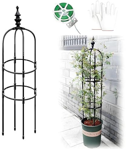 Garden Obelisk Rankhilfe Rosen Rankgitter Metall Rostfrei Für Kletterpflanzen Rosen Clematis 60cm 90cm 120cm 150cm 180cm Hoch 20cm 25cm 28cm Ø Rankturm Für Tomaten Gurken(Schwarz,20x60cm)