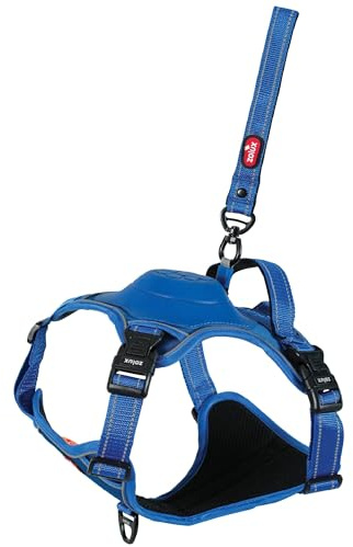 Zolux Easy Ride Geschirr für Hunde mit integrierter Rollleine, Größe L, Blau, patentiertes System, reflektierende Streifen, atmungsaktiver Stoff, Brustumfang 63-80 cm, 400 g