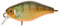 Illex Deep Diving Chubby 38 Agressive Perch