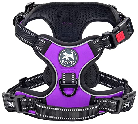 PoyPet Dog Harness Large, No Pull with Front Clip & Neck Release Buckle | No Choke, Lockable, 2 Leash D-rings, Adjustable Vest, Reflective, Oxford, Soft Padded Handle for Walking Training, L, Purple