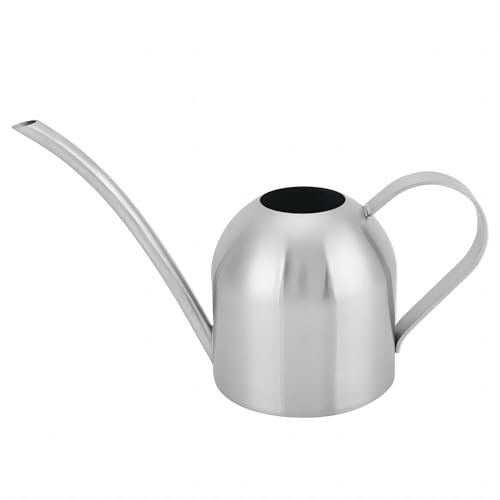 VIFERR Edelstahl Gießkanne, 1000ml Kleine Gießkanne mit Langer Ausguss, Zimmerpflanze Sprinkler Blumengießkanne Bonsai MiniGießkanne für Büro Haus Balkon Garten Pflanzen (Silber)