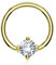 Paula & Fritz® Klemm-Ring Gold 1,2-mm Stark 10-mm Lang 3-mm Zirkonia Klar Chirurgenstahl 316L Closure Ring Septum-Piercing Nasenring Augenbraue-n Ohr