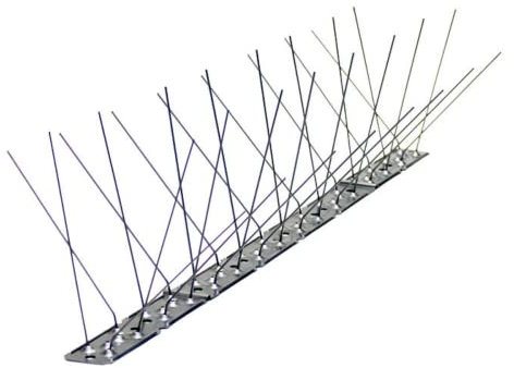 Pinchos Anti Palomas con Base de Acero Inoxidable | Ahuyenta Palomas Efectivo (10 Metros)