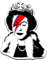Vinyl-Aufkleber: Queen Elisabeth Vs Bowie