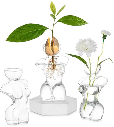 Glasseam Glas Avocado Vase: Weibliche Körpervase Set mit 3 klaren Knospenvasen für Blumenzwiebeln, kleine Vasen für Blumen, einzigartige Blumenvasen, Anzuchtvasen für Pflanzen, dekorative Vasen für