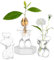 Glasseam Glas Avocado Vase: Weibliche Körpervase Set mit 3 klaren Knospenvasen für Blumenzwiebeln, kleine Vasen für Blumen, einzigartige Blumenvasen, Anzuchtvasen für Pflanzen, dekorative Vasen für