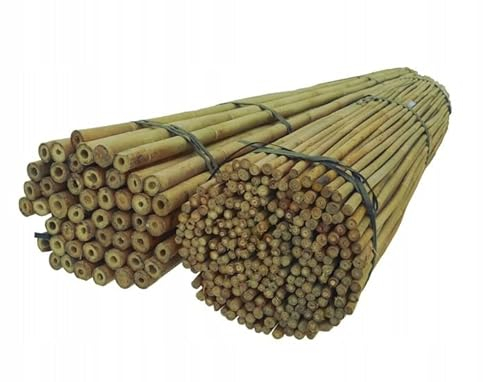 DIXIE STORE Baguettes en Bambou | Poteaux en Bambou Ensemble de Supports de Fleurs | Lot de 25 Piquets de Plantes en Bambou Très Résistants 194 Cm x 16-18 Mm