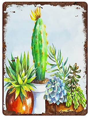 HERYNLRN Metal Tin Sign Vintage Succulent Trio Square Metal Sign Decorable Southwestern Cacti Potted Cactus Metal Sign Home Bar Decor Cafe Bar Restaurant Shop 12 X 8 in