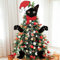 TICIAGA Weihnachtsbaumspitze mit schwarzer Katze, groß, mit Weihnachtsmütze für Weihnachtsdekoration, Baumdekoration mit Kopf, Armen und Beinen, für Weihnachten, Innen- und Außenbereich,