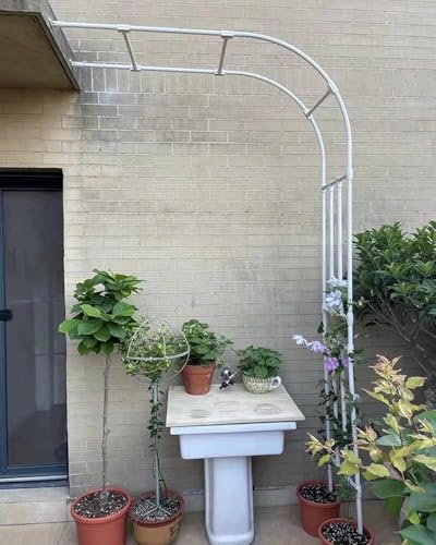 Arche de jardin treillis en métal demi-rond pour plantes grimpantes pergola pour fleurs décoration de jardin (taille : 220 x 240 x 40 cm, couleur : blanc)