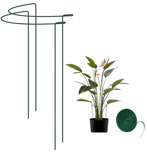 honzhaoyu Pflanzenstütze 2 Stück 25x40cm – Metall Ringkäfig Rankhilfe für Blumen, Gemüse & Stauden, Stabiler Pflanzenhalter inkl. 5m Pflanzenbinder, Grün