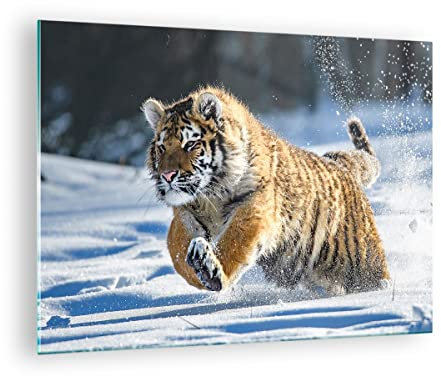 Moderne Impression sur Verre tigre animal Image Tableau en Verre Decoration Murale 70x50cm Deco Cadre Salon Chambre Cuisine Horizontal Petit Tableaux Decoratifs Muraux Art Wall Decor GAA70x50-3928