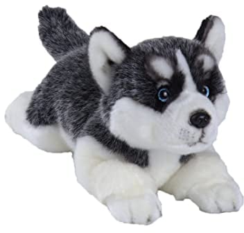 CU-MATE Sibirischer Husky-Stoffhund, Tiersimulation, realistisch und lebensecht, weich, handgefertigt, liegender Hund, Plüschtier, Welpe, Geschenk für Jungen und Mädchen