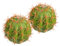 DRESSOOS 2piezas Decoración De Antena De Coche Cactus De Cartón Adorno Mini Cactus Artificial para Techo De Vehículo Y Divertido