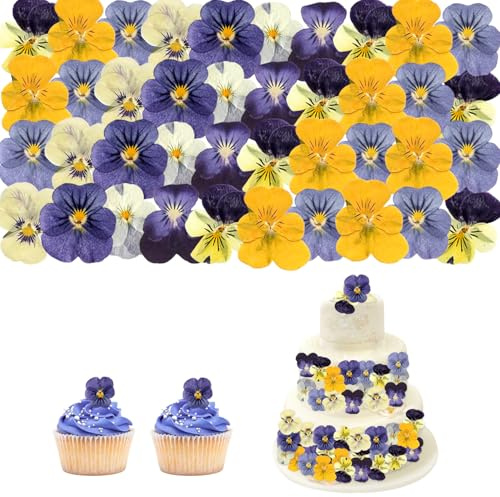 HIVTE 40 Piezas Flores de Pensamiento Secas Prensadas, Adornos Naturales para Pasteles, Cupcakes, cócteles y Manualidades (Solo Decorativo, no Comestible)