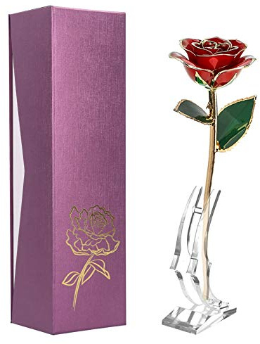 TOPINCN In Gold Getauchte Rose, 24 Karat Vergoldete Rose mit Transparentem Ständer, Echte Rose, Jahrestag, Valentinstag, Romantisches, Ewiges Blumendekor für Ihre Frau, Mutter