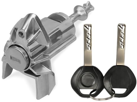 Fraylis Barillet Serrure Porte Avant Gauche 51217035421 pour X5 E53 Serrure Porte Avec 2 clés Côté Conducteur 51 21 7 035 421