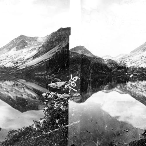 Shelter Press / Cargo