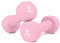 unycos - Kurzhanteln Neopren 2er Set von 1 kg, Rutschfest, Anti-Roll-Design, Bequemer Griff, Krafttraining, Fitness, Pilates, Training, Fitnessstudio (Rosa)