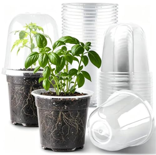 GAYSHI Lot de 10 pots de culture, en plastique, transparents, ronds, pour plantes grasses, orchidées, boutures