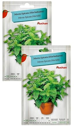 Semillas de Menta Spicata Hierbabuena, 2 Sobres