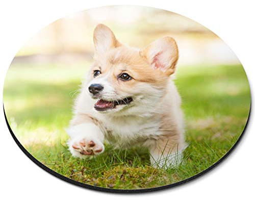 RM12647 Mauspad, rund, Pembroke Welsh Corgi Welpe Hund Büro Geschenk