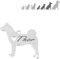 Ibera gifts - Hundemarke mit Gravur, Hundemarke personalisiert, in Form eines Huskys, Edelstahl, für alle Haustiere, 28 x 27 mm