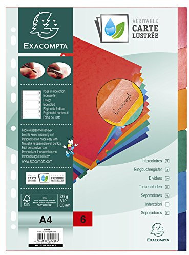 Exacompta 2206E Premium-Register für DIN A4 aus starkem Colorspankarton 6-teilig volle Höhe 22,5 x 29,7 cm vollfarbig 6 Farben verstärkte Taben Trennblätter Trennstreifen