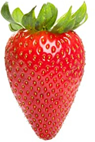 Semillas de Fruta Fresa Grande o Fresón para Sembrar en Casa