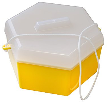 Universalfalle Wespen - Schnecken