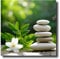 LZIMU Zen Leinwand Bilder Steine und weiße Blumen Gemälde Drucke Spa Bild Meditationskunstwerk für Badezimmer Yoga Raumdekoration Gerahmt (Bild-4, (45.00 x 45.00 cms))