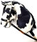 Hobby Horse Hobbypferd groß A3 (Pferd auf einem Stock) (Black and White)