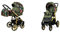 BabyLux Color Lux 2-in-1 Baby Kinderwagen Tief und Kinderwagen mit Zubehör Verstellbar und faltbar Aluminiumkonstruktion Wasserdichte Nicht abnehmbare Räder Roses With Tulips On Black Gold Frame