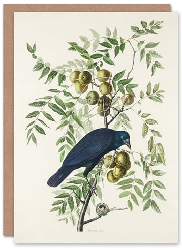 Artery8 John James Audubon Art Card American Crow on Walnut Tree