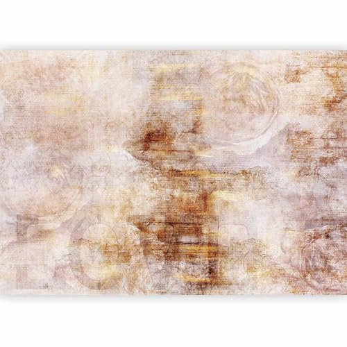 murando - Papier peint panoramique artistique 400x280 cm - Revêtement mural décoration salon - Design moderne - Beige marron jaune - Des roses ancien abstraction contexte texture f-A-0911-a-a