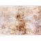 murando - Papier peint panoramique artistique 400x280 cm - Revêtement mural décoration salon - Design moderne - Beige marron jaune - Des roses ancien abstraction contexte texture f-A-0911-a-a