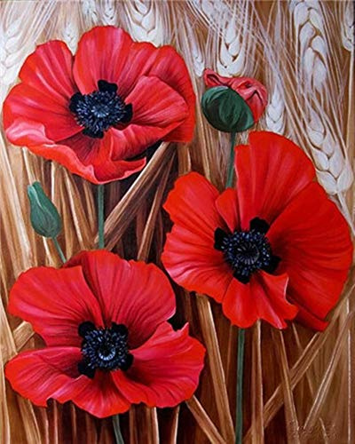 WOWDECOR Peinture Numéro Adulte Enfant, Rouge Coquelicot Fleur DIY Peinture par numero, Paint by Numbers