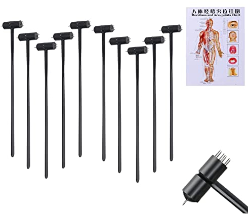 7 Star N_eedle Akupunktur, Pflaumenblüte Dermal Hammer Breite eine Tabelle – Akupunktur Menschlicher Körper Diagramme Meridiane und Akupunkturpunkte (10 Stück Breite einer Akupunkturtabelle)